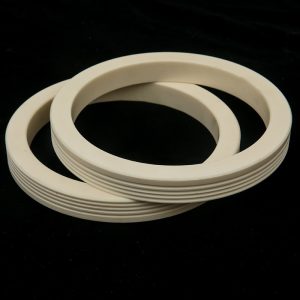 What Is A Ceramic Wafer Clamp?